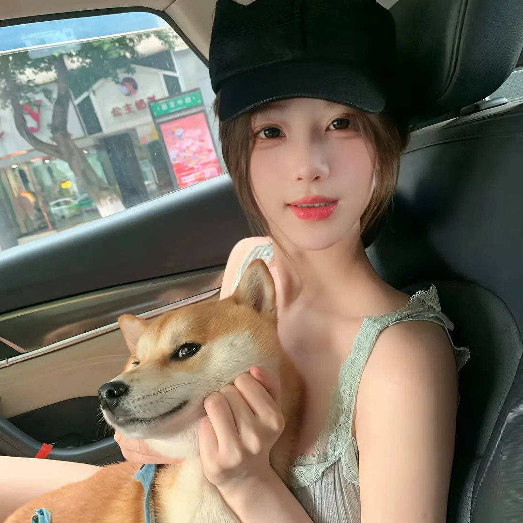雾中之犬